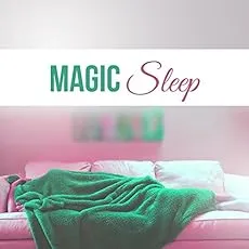 Magic Sleep: Just a Dream album cover