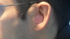 ear plugs ear plugs Ohropax Earplugs inserted in the ear.