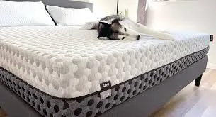 Best mattress for back pain