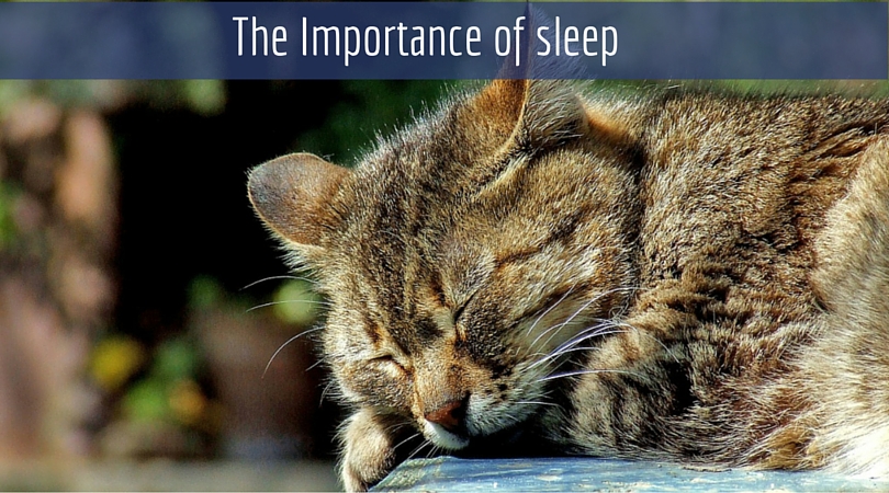 If you want a better day, hit the hay: The indisputable Importance of sleep