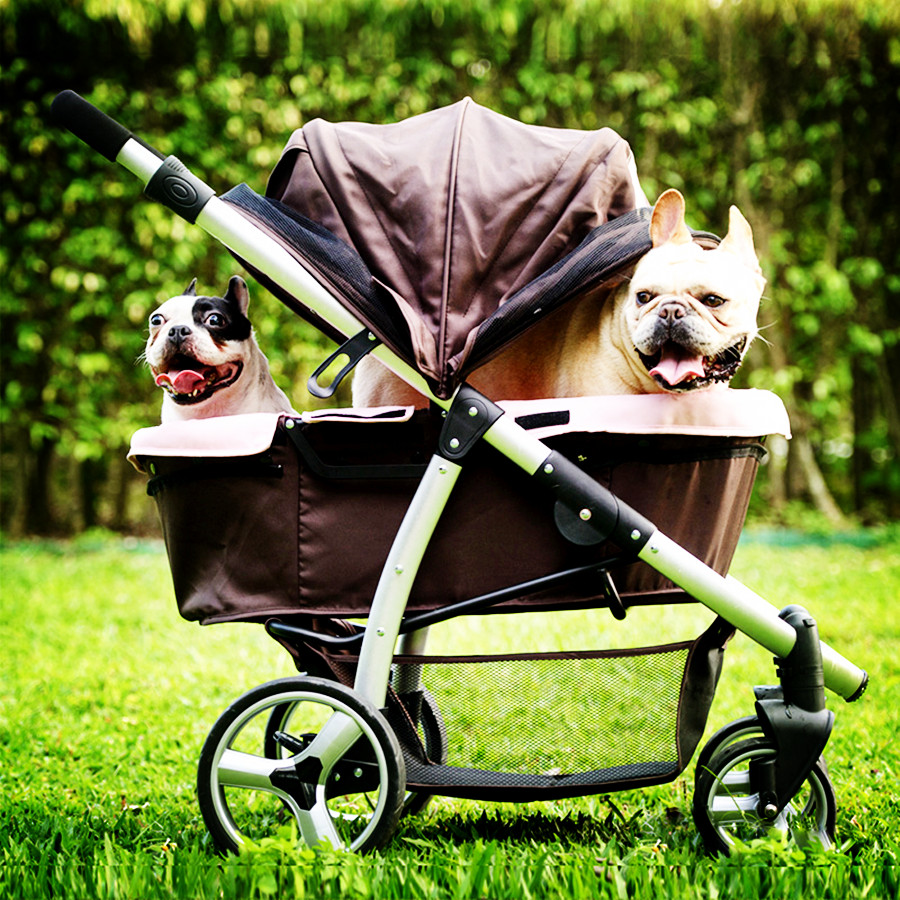 Best Pet Stroller Reviews: 10 Top Rated Pet Stroller Gear