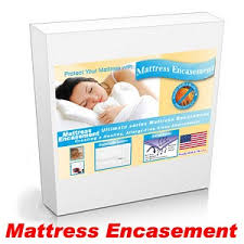 Best Mattress Covers for Bed Bugs